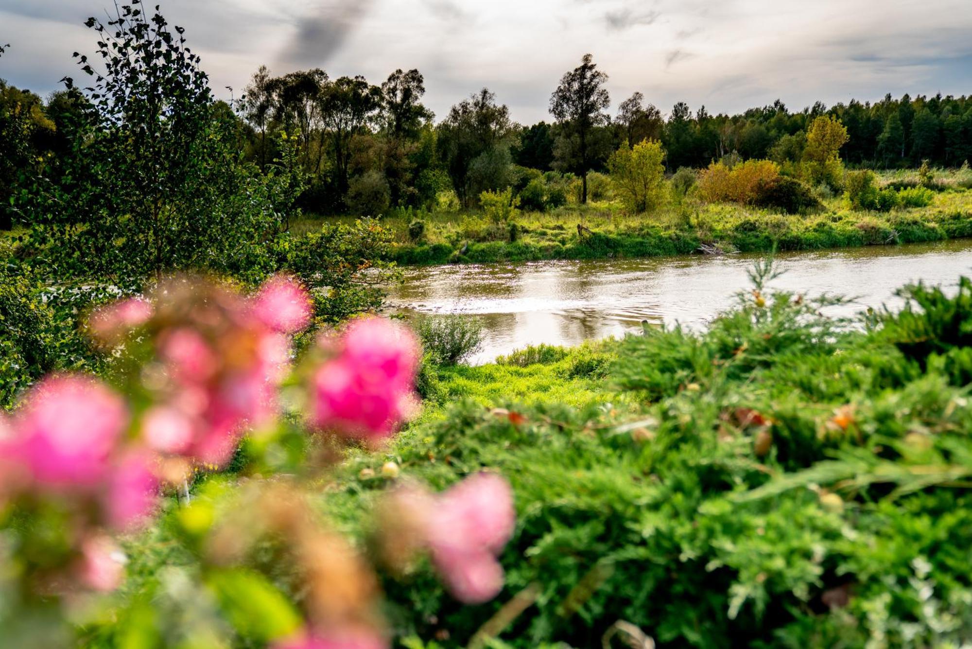 Holistyczne Ujecie Bed & Breakfast Kobyla Dış mekan fotoğraf